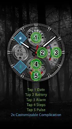 CFS109 Luxury Watch Face screenshot 5