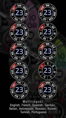 CFS111 Digital screenshot 3