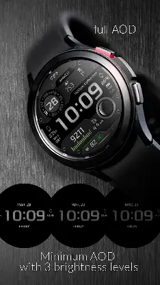 CFS118 Digital screenshot 5