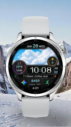 CFS145 Weather Window screenshot 2