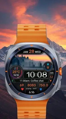 CFS145 Weather Window screenshot 1