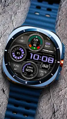 CFS146 Steel Gauge screenshot 2