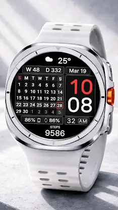 CFS147 Pure Calendar screenshot 7