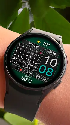 CFS147 Pure Calendar screenshot 4