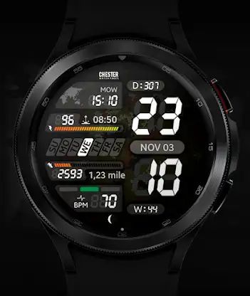 Chester LCD2 watch face screenshot 2