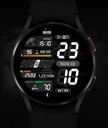 Chester LCD2 watch face screenshot 3