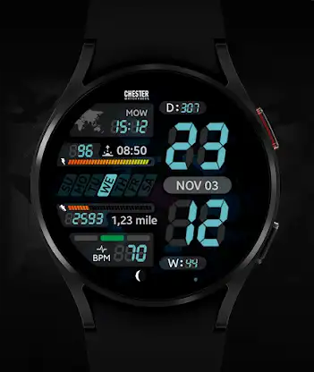 Chester LCD2 watch face screenshot 4