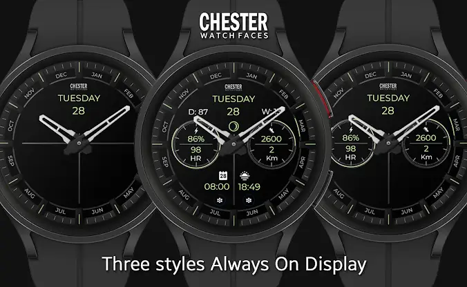 Chester Modern watch face screenshot 5