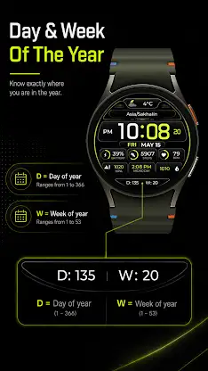 Chester Neon Dashboard screenshot 4