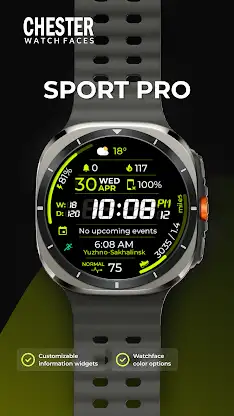 Chester Sport Pro watch face screenshot 1