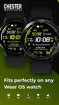 Chester Sport Pro watch face screenshot 2