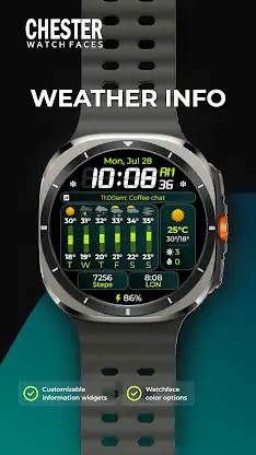 Chester Weather info screenshot 1