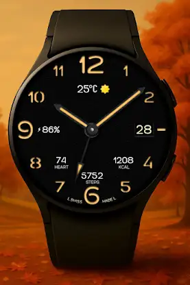 Classic Sport Watch Face screenshot 1