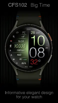 CFS102 Big Time screenshot 1