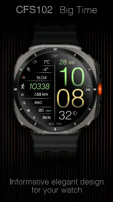 CFS102 Big Time screenshot 6