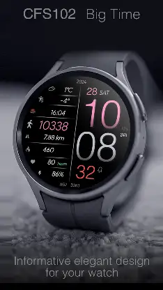 CFS102 Big Time screenshot 8