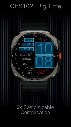 CFS102 Big Time screenshot 5