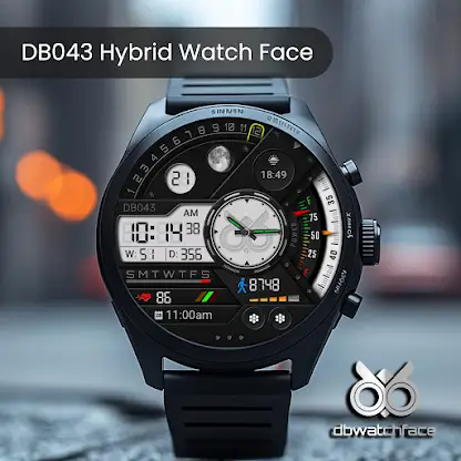 DB043 Hybrid Watch Face screenshot 1