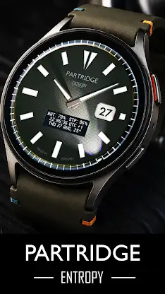 Entropy Luxury watchface PDX screenshot 5