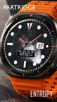 Entropy Luxury watchface PDX screenshot 7