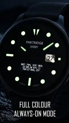 Entropy Luxury watchface PDX screenshot 2