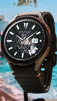 Entropy Luxury watchface PDX screenshot 3
