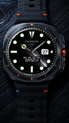 Entropy Luxury watchface PDX screenshot 8