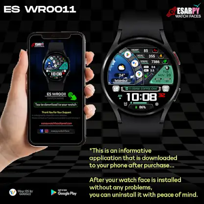 ES WR0011 screenshot 8