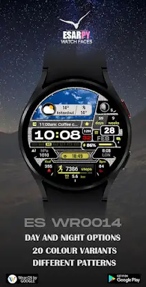 ES WR0014 screenshot 3