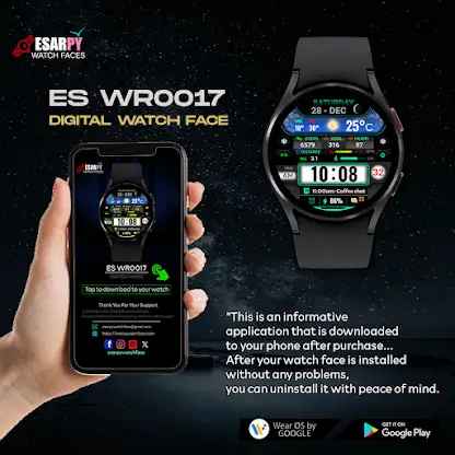 ES WR0017 screenshot 8