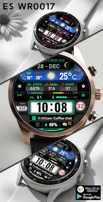 ES WR0017 screenshot 5