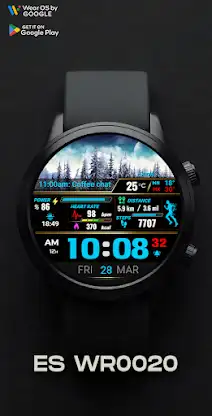 ES WR0020 screenshot 7