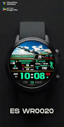 ES WR0020 screenshot 3