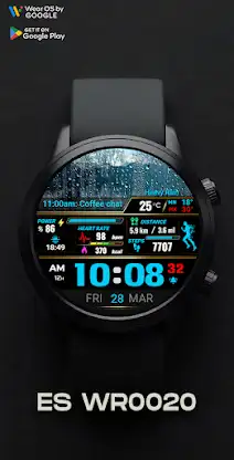ES WR0020 screenshot 4