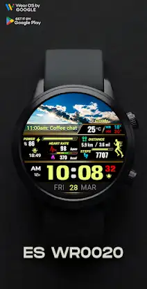 ES WR0020 screenshot 5