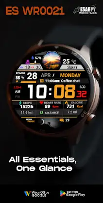 ES WR0021 screenshot 1