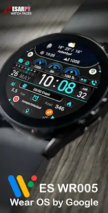 ES WR005 screenshot 2