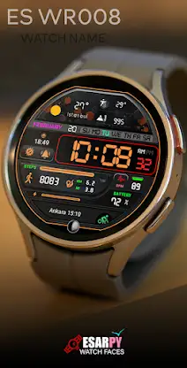 ES WR008 screenshot 6