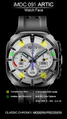 iMDC 091 Artic Watch Face screenshot 1