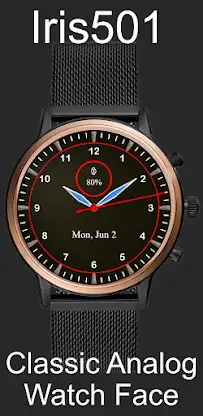 Classic Analog Watch Iris501 screenshot 3