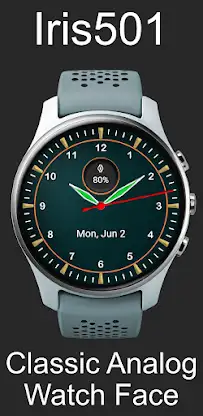 Classic Analog Watch Iris501 screenshot 2