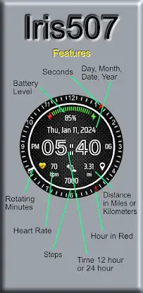 Iris507 Digital Watch Face screenshot 2