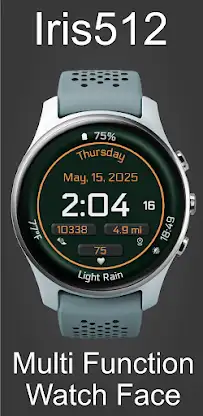 Iris512 Multi-Function Digital screenshot 2