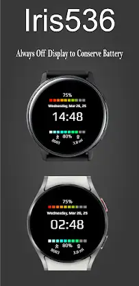 Multi Function Digital Iris536 screenshot 3