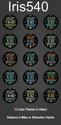 Multi-Function Digital Iris540 screenshot 7