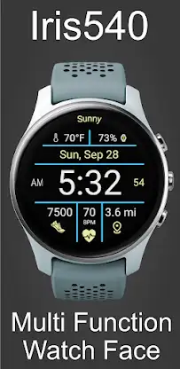 Multi-Function Digital Iris540 screenshot 1