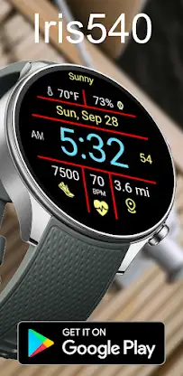 Multi-Function Digital Iris540 screenshot 4