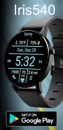 Multi-Function Digital Iris540 screenshot 3