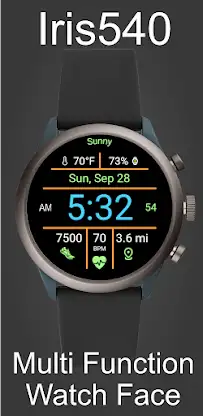 Multi-Function Digital Iris540 screenshot 2