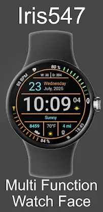 Iris547 Multi-Function Digital screenshot 1